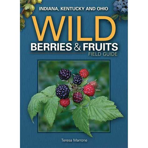 Wild Wild Fruit Review 2024